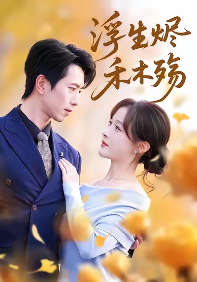 浮生烬禾木殇全集