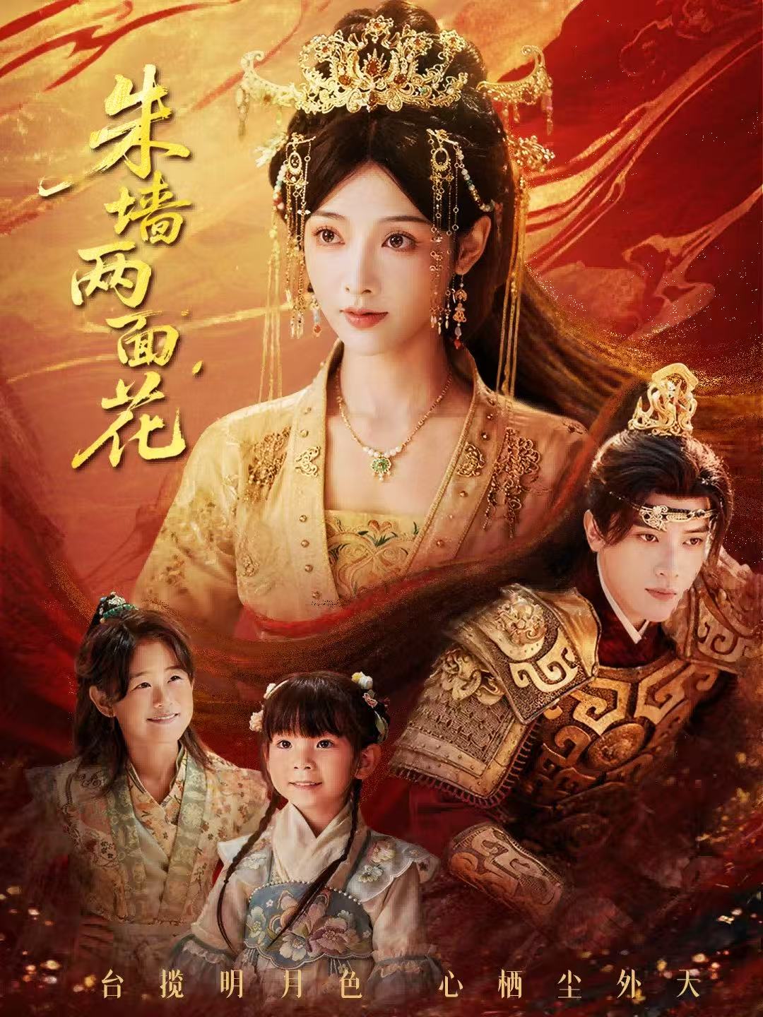 朱墙两面花全集