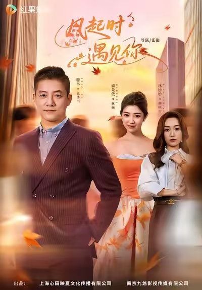 风起时遇见你全集