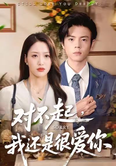 对不起，我还是很爱你全集