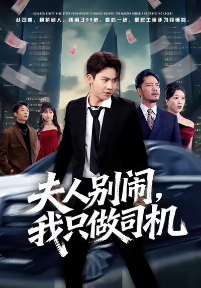 夫人别闹我只做司机全集