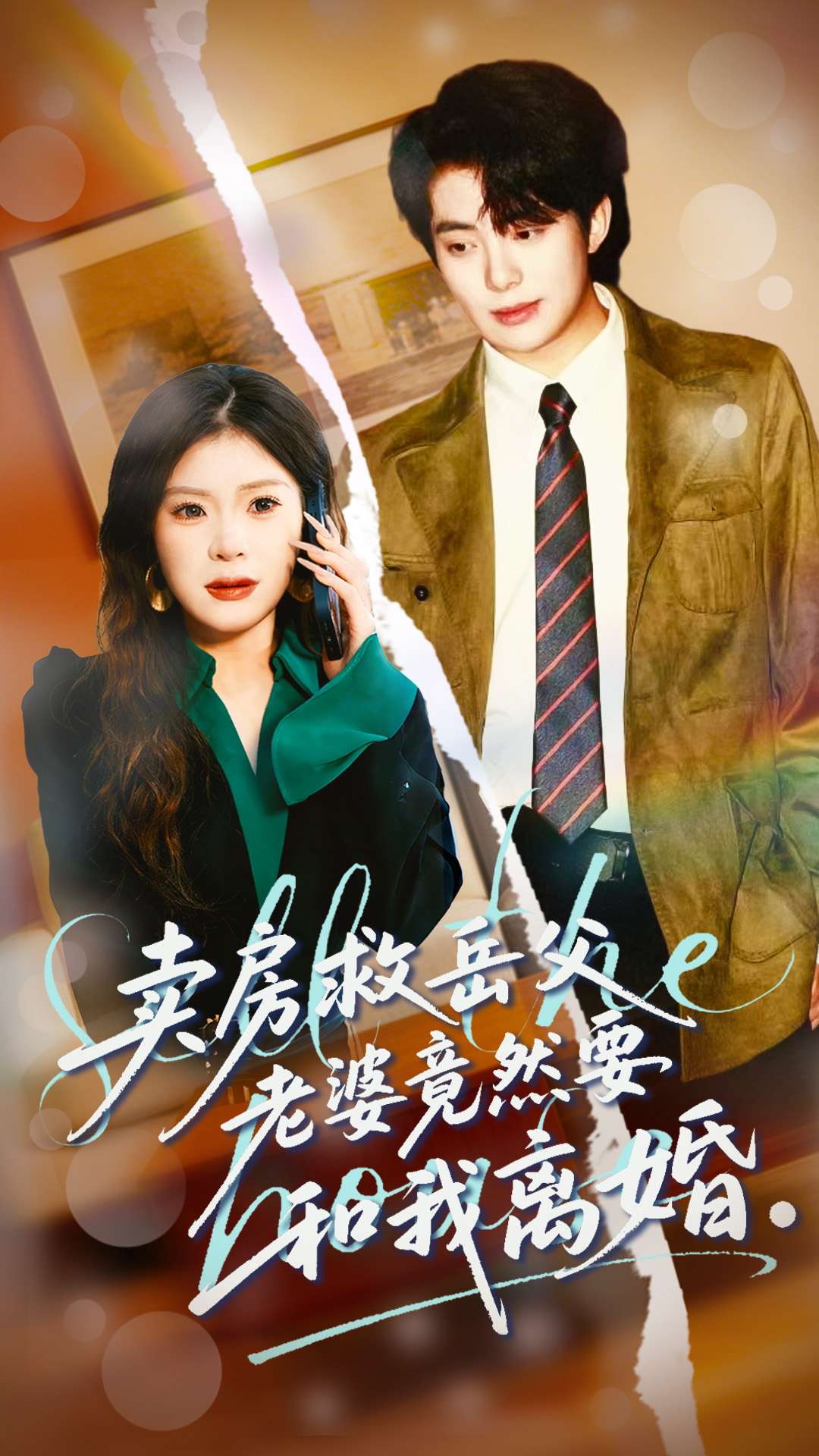 卖房救岳父，老婆竟然要和我离婚全集