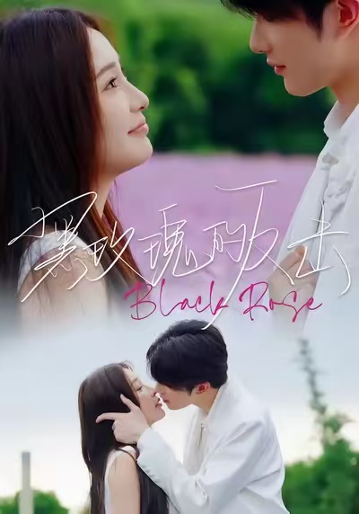 黑玫瑰的反击全集