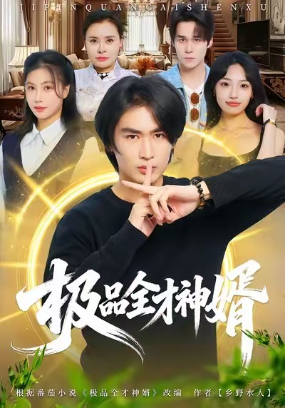 极品全才神婿全集