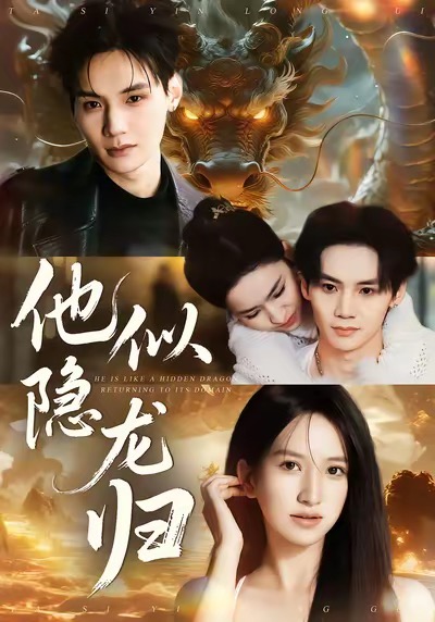 他似隐龙归全集