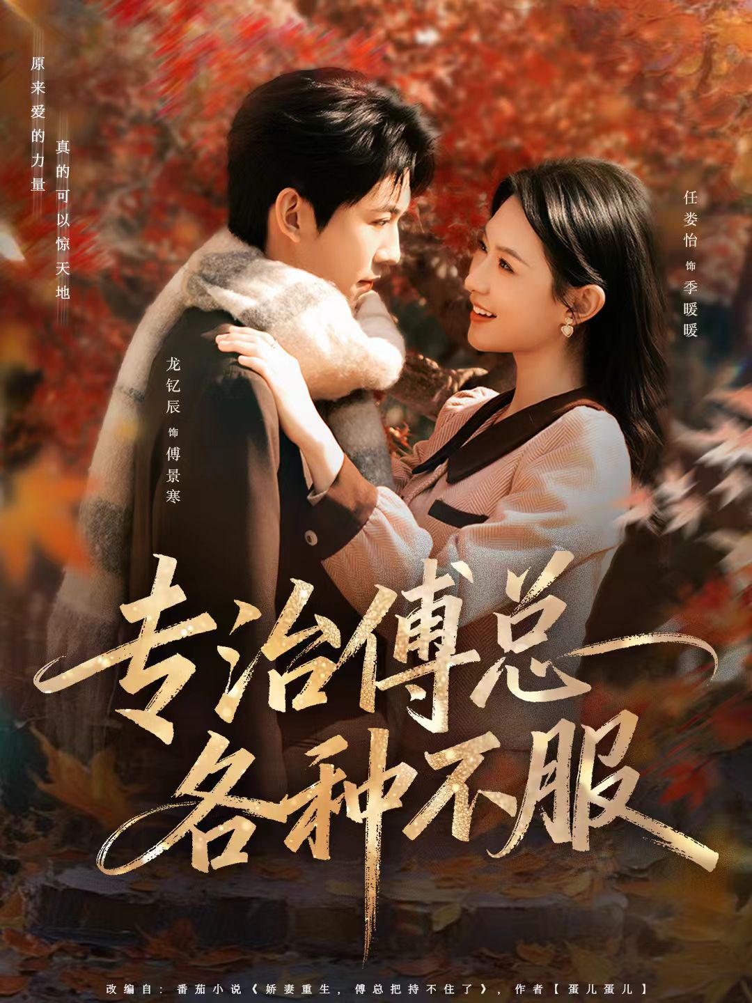 专治傅总各种不服全集