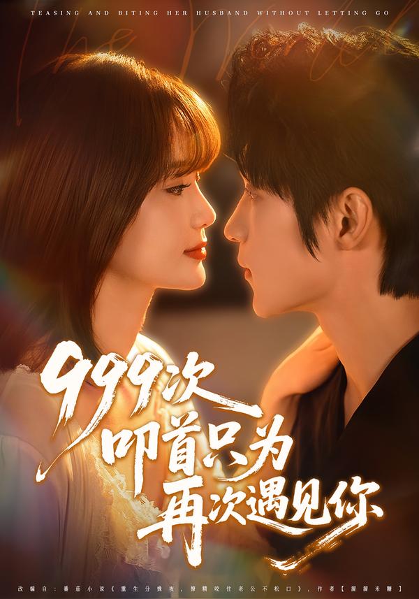 999次叩首只为再次遇见你全集