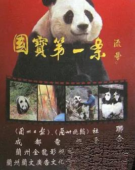 国宝第一案全集