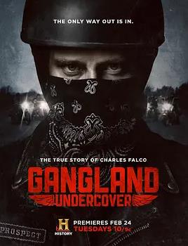 黑帮卧底第一季全集