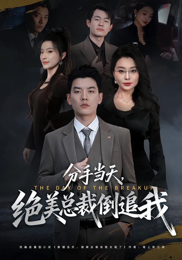 分手当天，绝美总裁倒追我全集