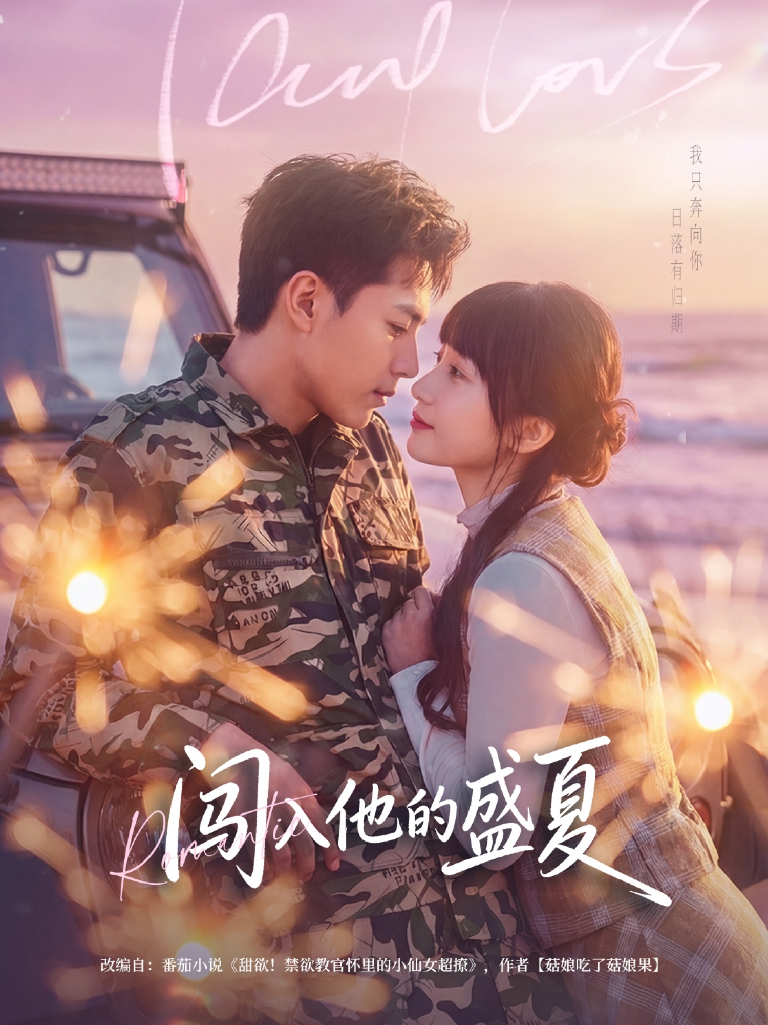 闯入他的盛夏全集