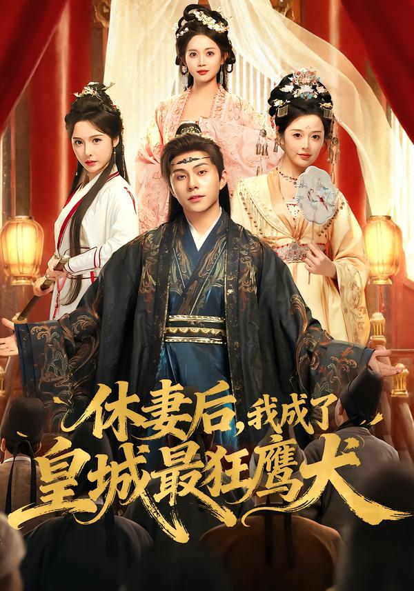 休妻后，我成了皇城最狂鹰犬全集