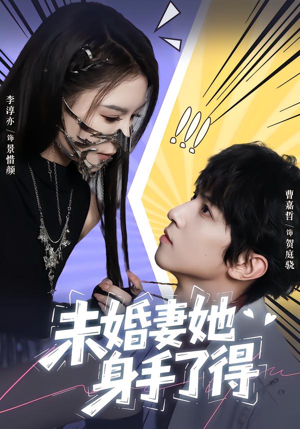 未婚妻她身手了得全集