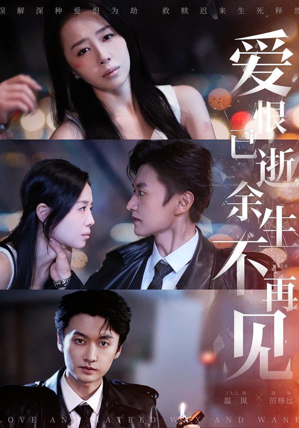 爱恨已逝，余生不再见全集