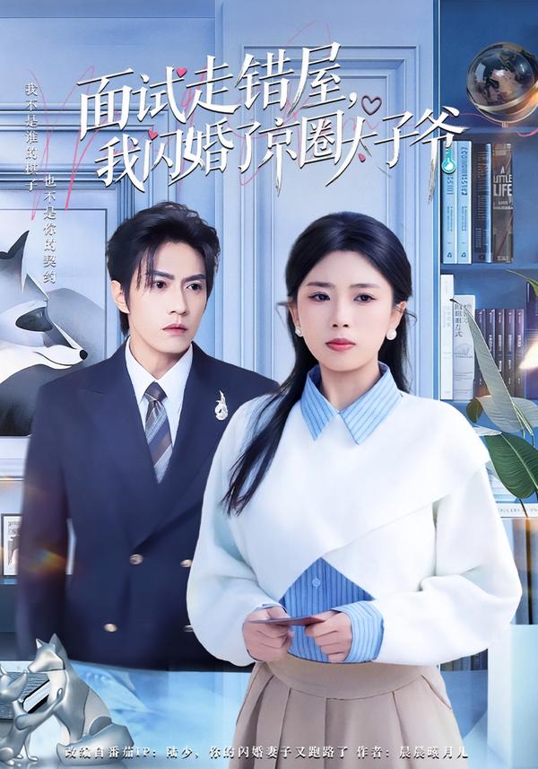 面试走错屋，我闪婚了京圈太子爷全集