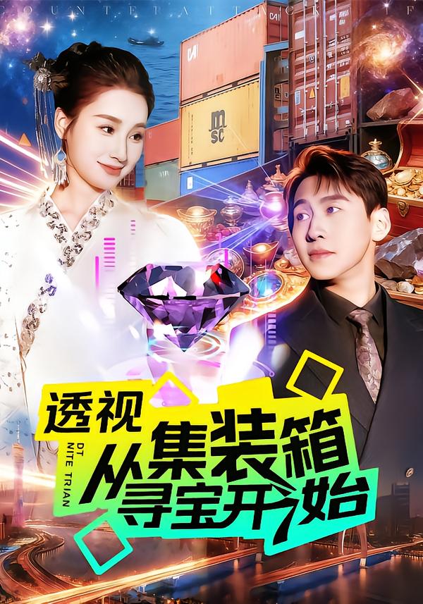 透视从集装箱寻宝开始全集