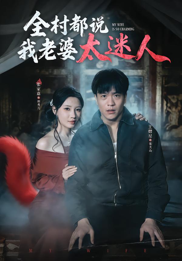 全村都说我老婆太迷人全集