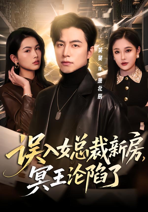 误入女总裁新房，冥王沦陷了全集