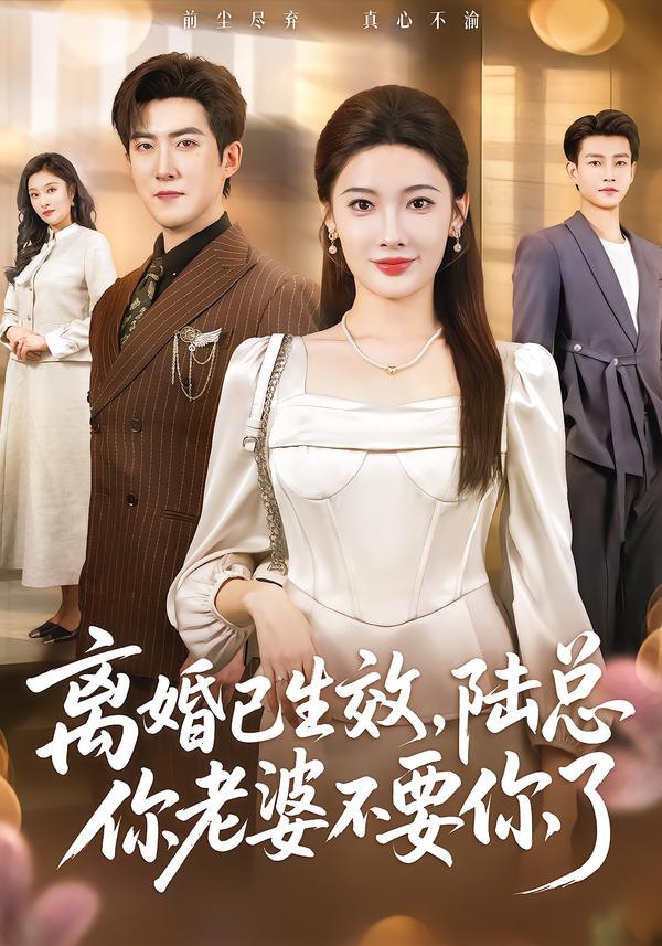 离婚已生效，陆总你老婆不要你了全集