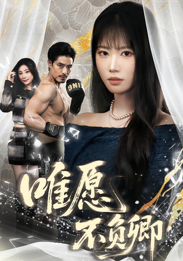 唯愿不负卿全集