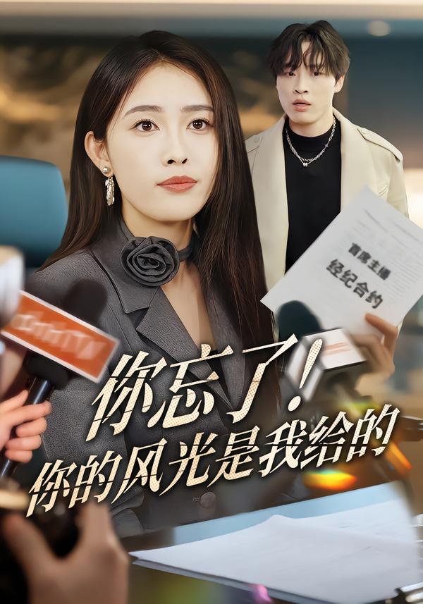 你忘了！你的风光是我给的全集