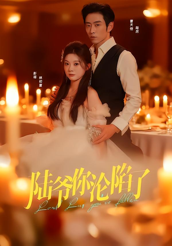 陆爷你沦陷了全集