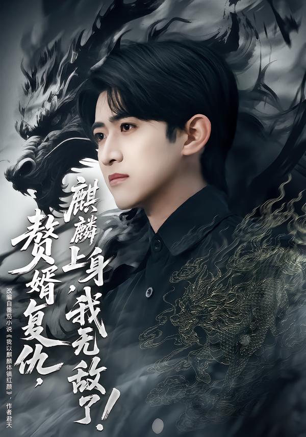 赘婿复仇，麒麟上身，我无敌了全集