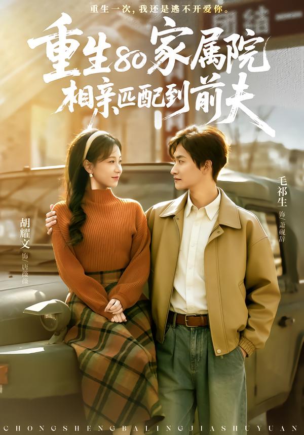 重生80家属院，相亲匹配到前夫全集