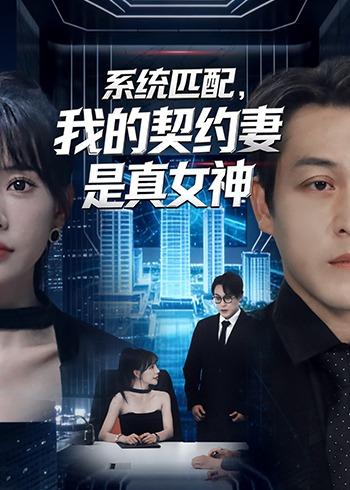 系统匹配，我的契约妻是真女神全集
