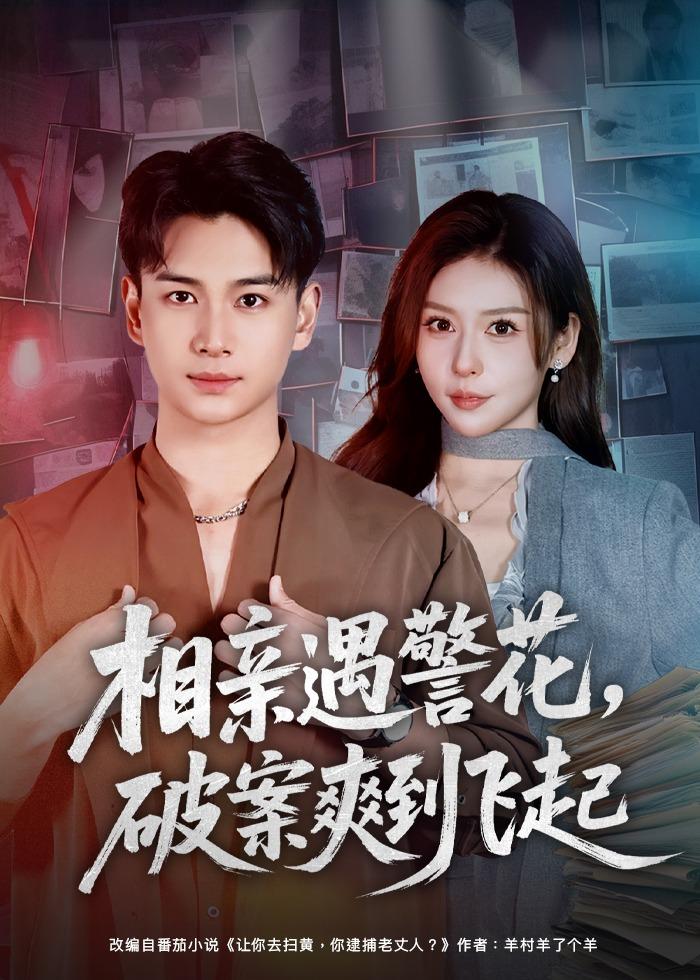 相亲遇警花，破案爽到飞起全集