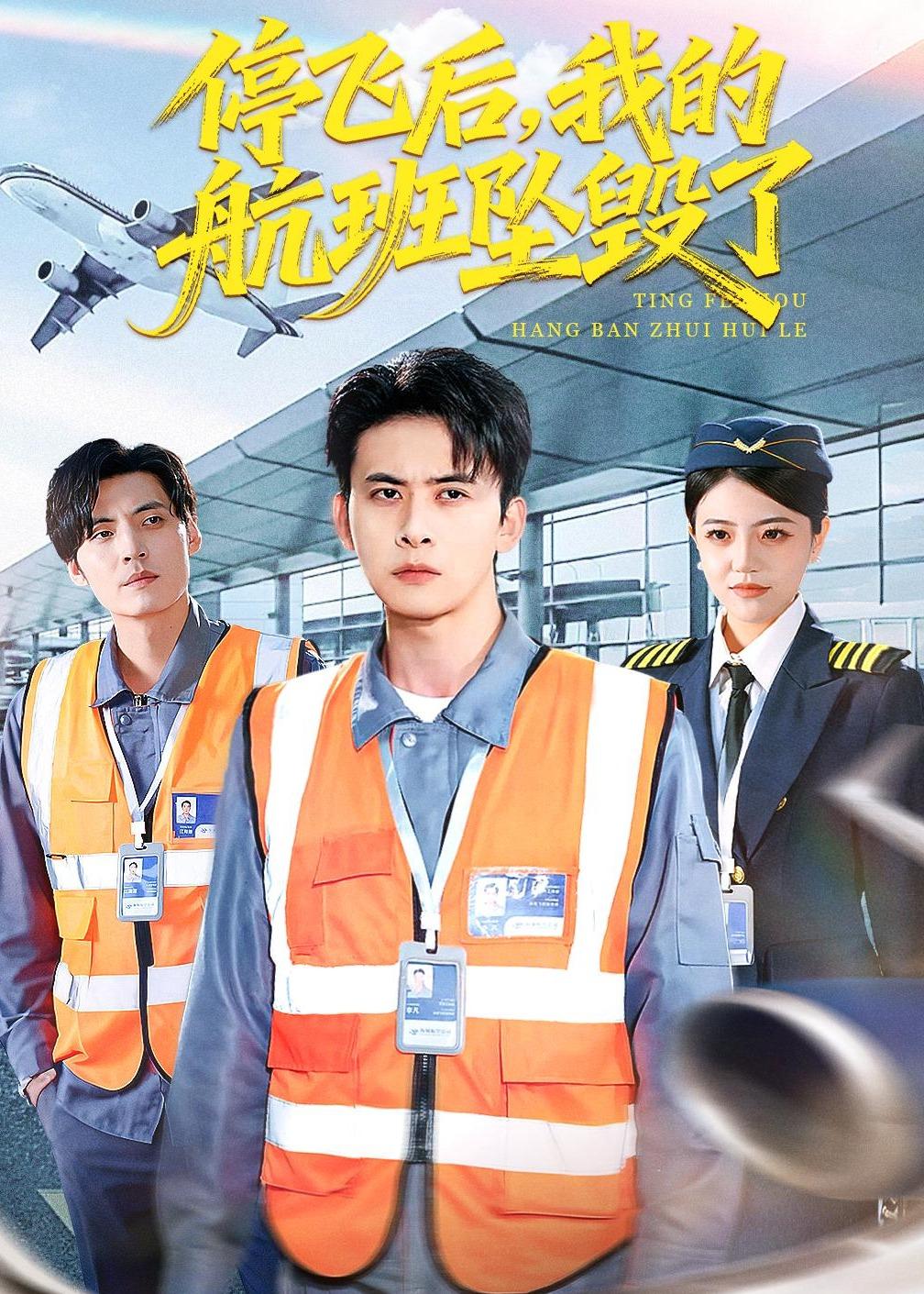 停飞后，我的航班坠毁了全集