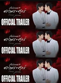 维纳斯的新郎全集