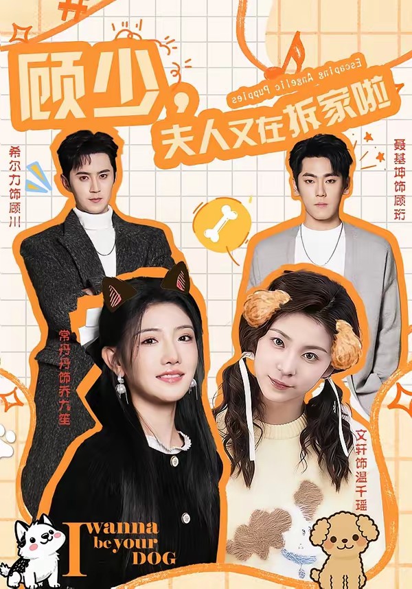 顾少，夫人又在拆家啦全集