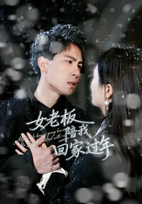 女老板陪我回家过年全集