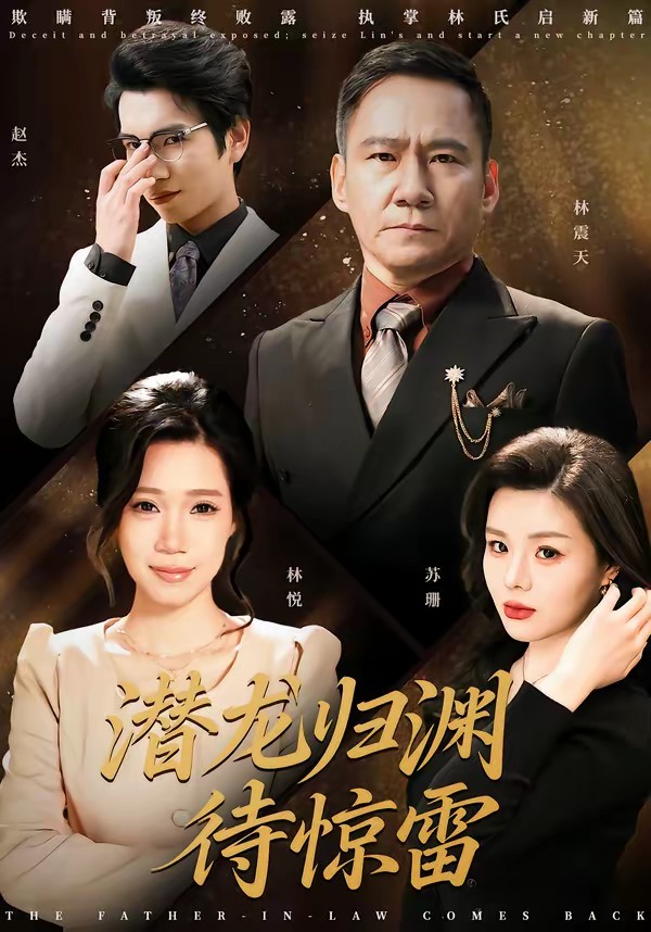 潜龙归渊待惊雷全集