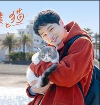 旅行和我和猫全集