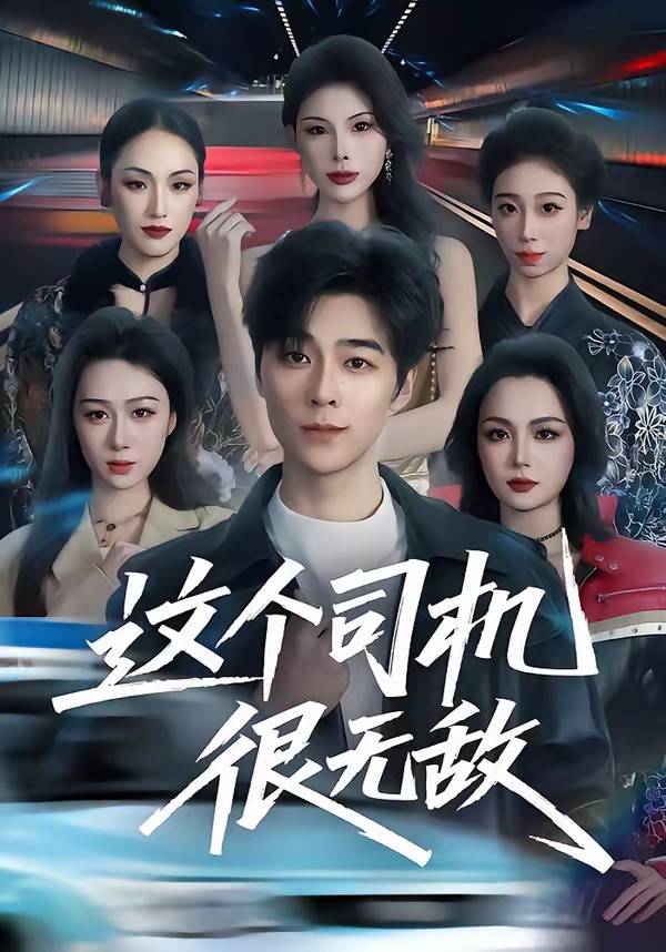 这个司机很无敌全集