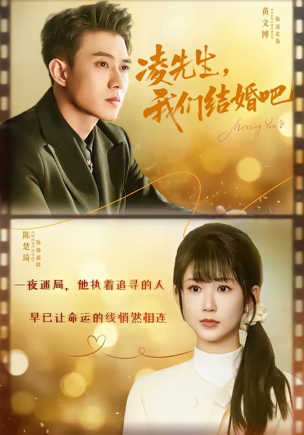 凌先生，我们结婚吧全集