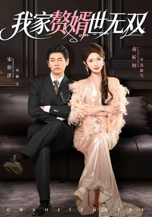 我家赘婿世无双全集