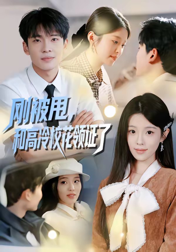 刚被甩，和高冷校花领证了全集
