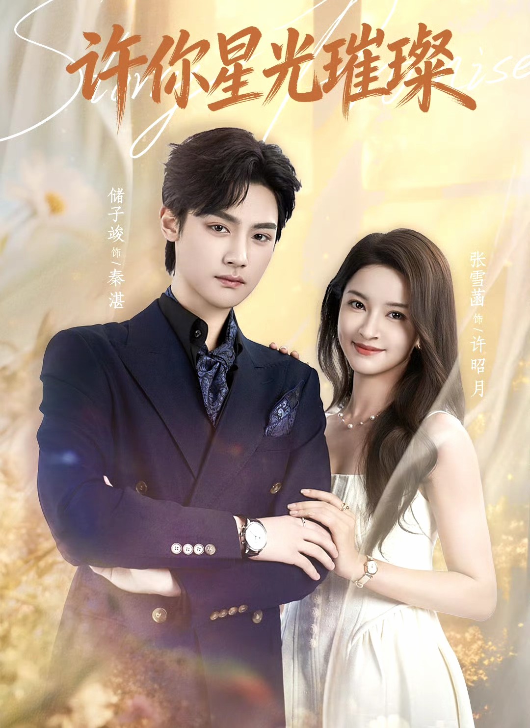 许你星光璀璨全集