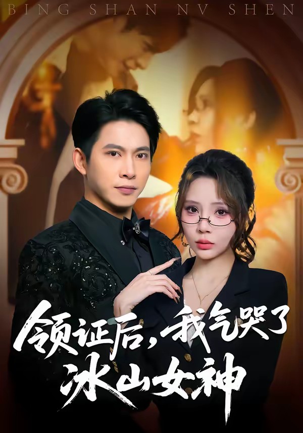 领证后，我气哭了冰山女神全集