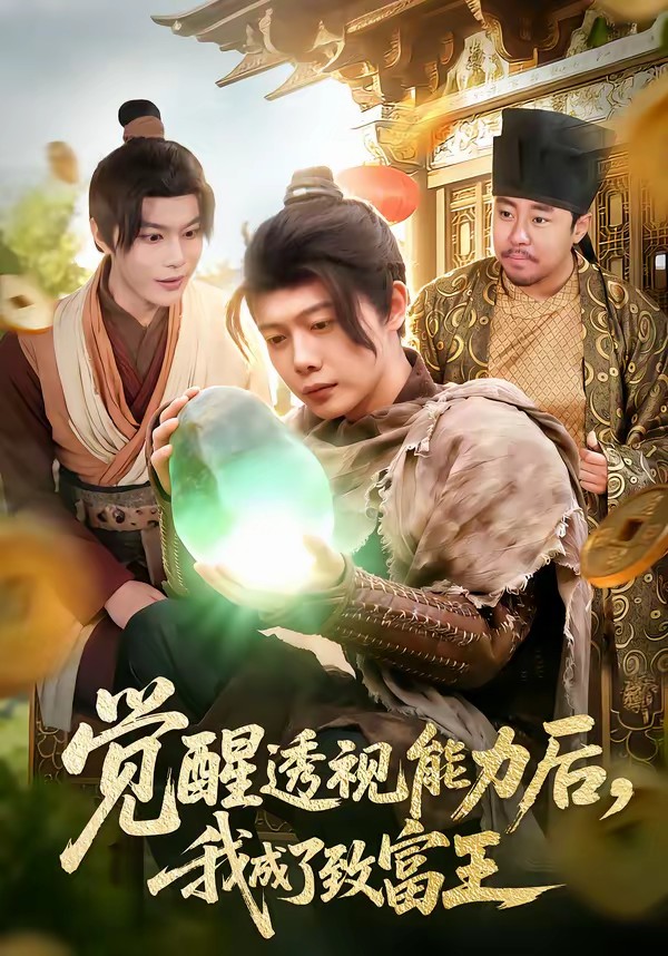 觉醒透视能力后，我成了致富王全集