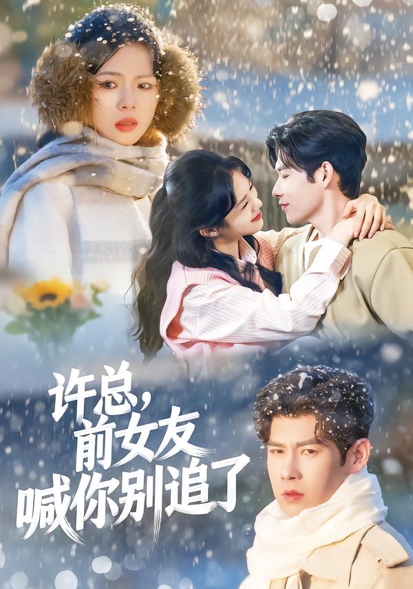 许总，前女友喊你别追了全集