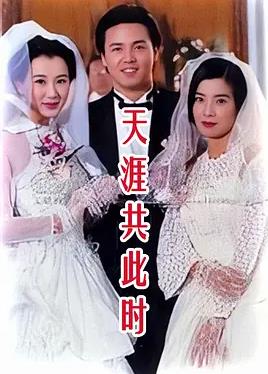 天涯共此时全集