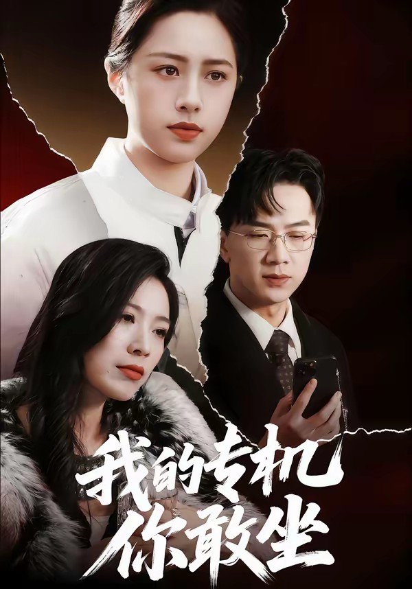 我的专机你敢坐全集