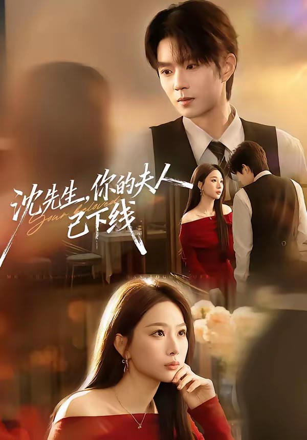 沈先生，你的夫人已下线全集