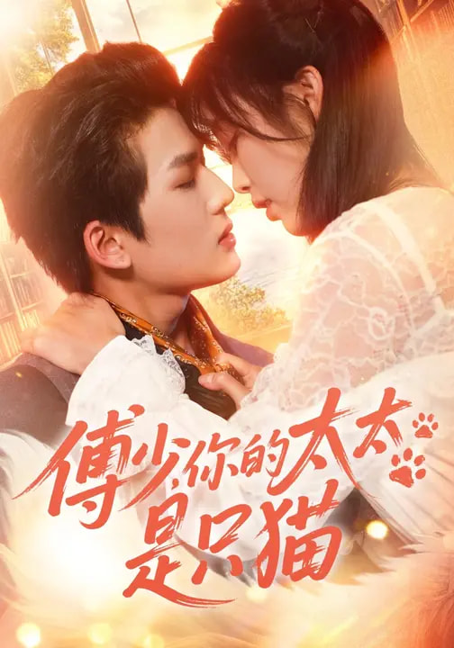 傅少，你的太太是只猫全集