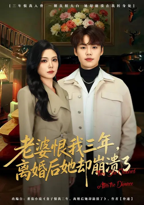 老婆恨我三年，离婚后她却崩溃了全集