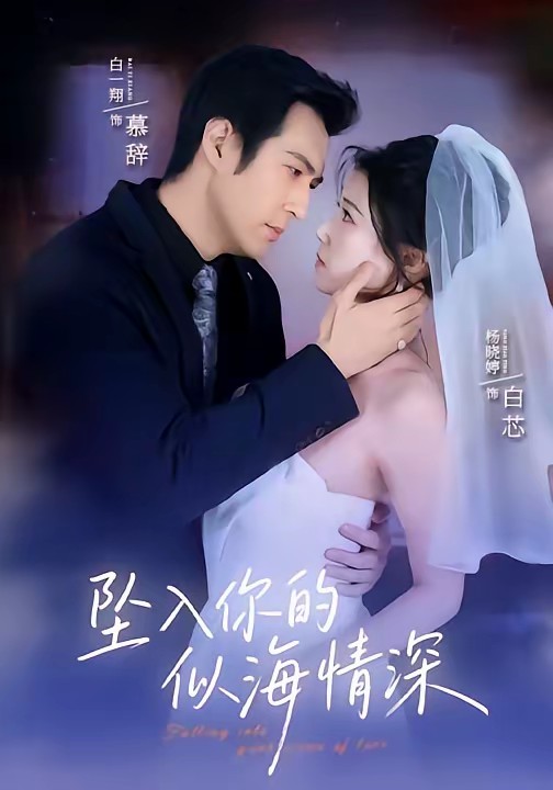 坠入你的似海情深全集